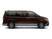 Hyundai H_1, перламутр, коричневый / tan brown (yn9)