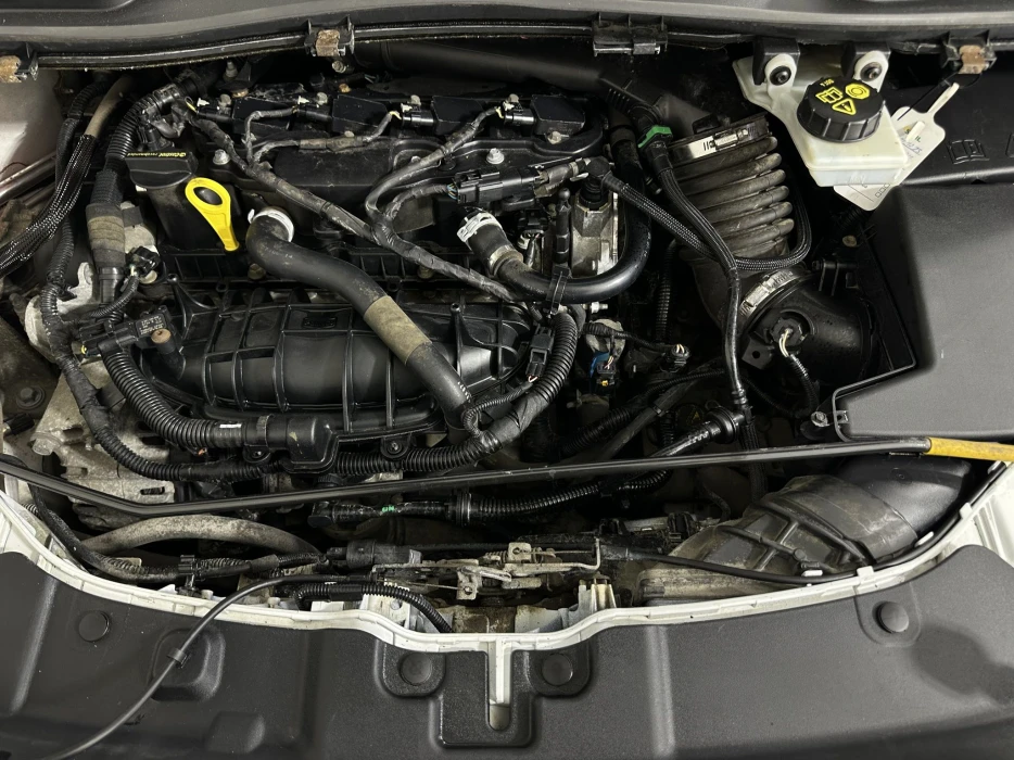 Изображение 15