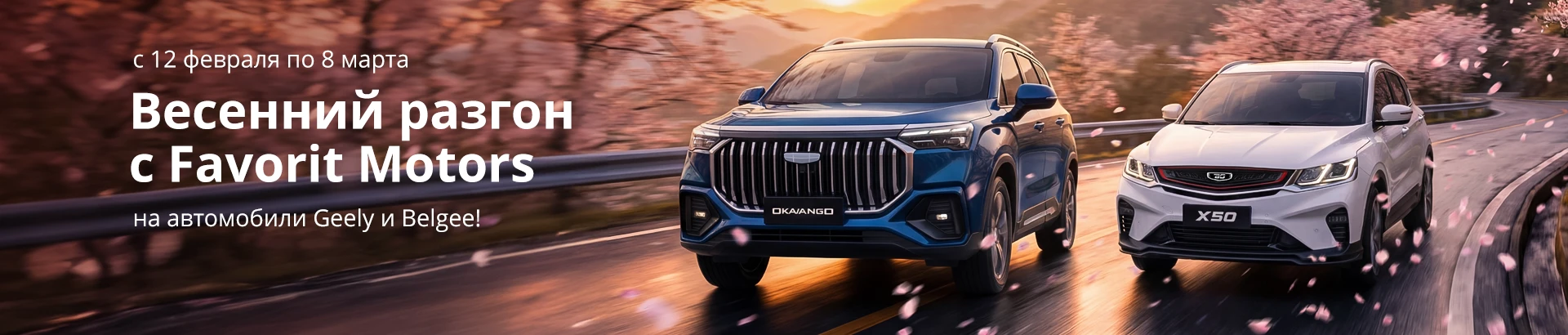 Баннер с акциями