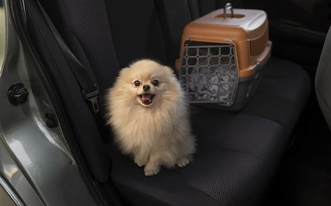 Эксплуатация авто