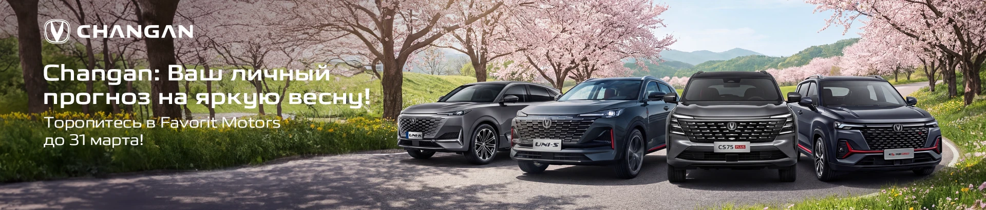 Баннер с акциями