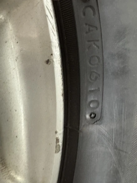 BRIDGESTONE Blizzak DM-V1