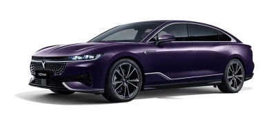 VOYAH СТРАСТЬ / PASSION EVR