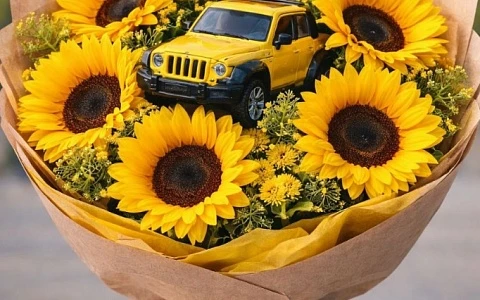 Выбор автомобиля