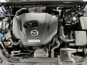 Изображение 16