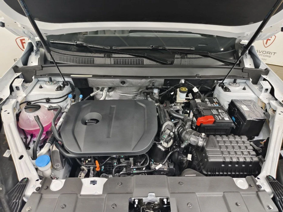 Изображение 8