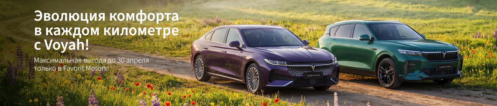 Баннер с акциями