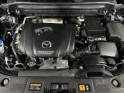 Изображение 15