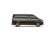 Volkswagen Caravelle, металлик, коричневый chestnut