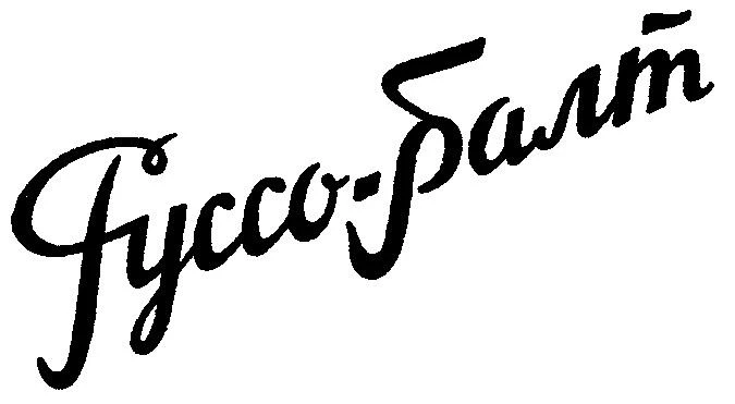 Опубликовано фото салона «Руссо-Балт» Ф200: как он выглядит