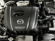 Изображение 15