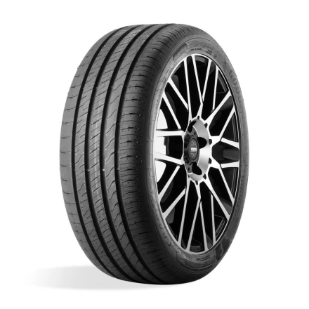 Goodyear EFFIGRIP PERF 2