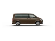 Volkswagen Multivan, металлик, коричневый chestnut