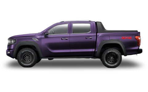 FOTON TUNLAND V9